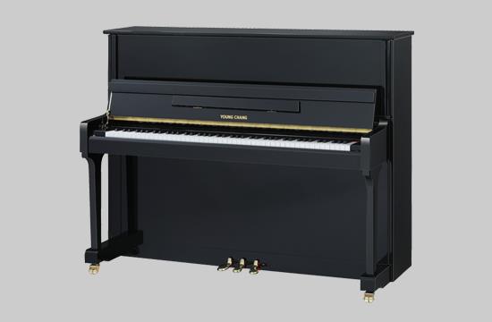 YC120TY BP